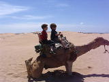 Morocco VIDS April 2005