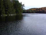 Farm Thanksgiving 2005