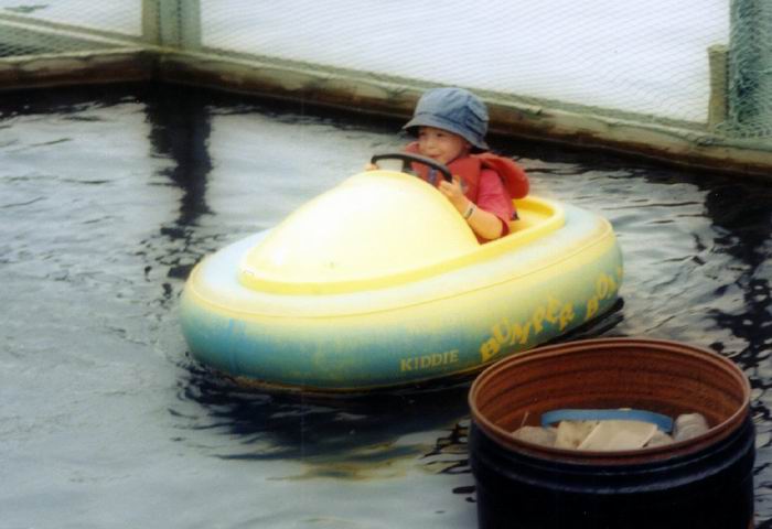 Bumper Boat