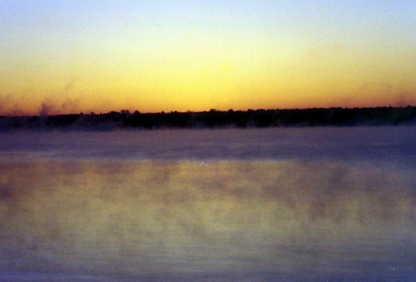 Sunny Mist
