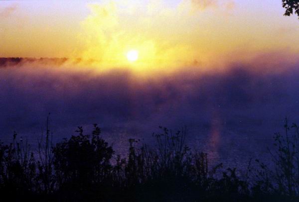 Misty Sunrise